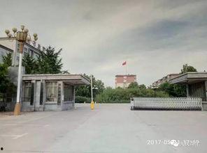 邢台一中爆料事件视频曝光,真相揭开，引发社会关注