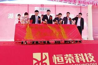 今日爆料湖南新田新闻,最新爆料揭示惊人真相  第3张